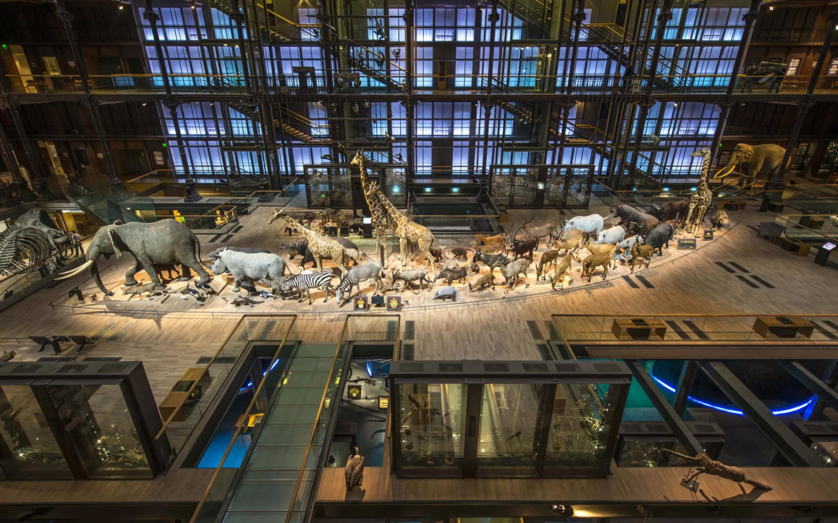 Venez vivre une expérience exclusive au Muséum national d'Histoire naturelle